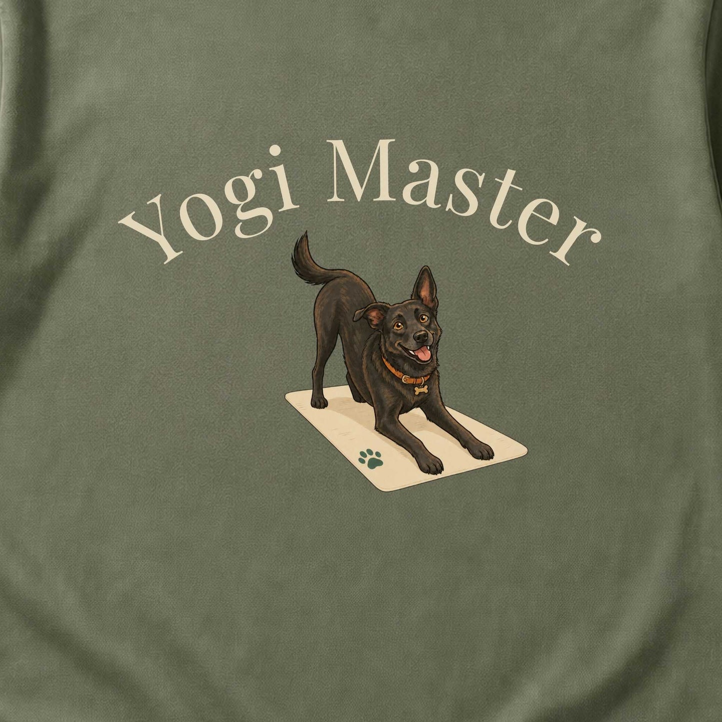 Yogi Master